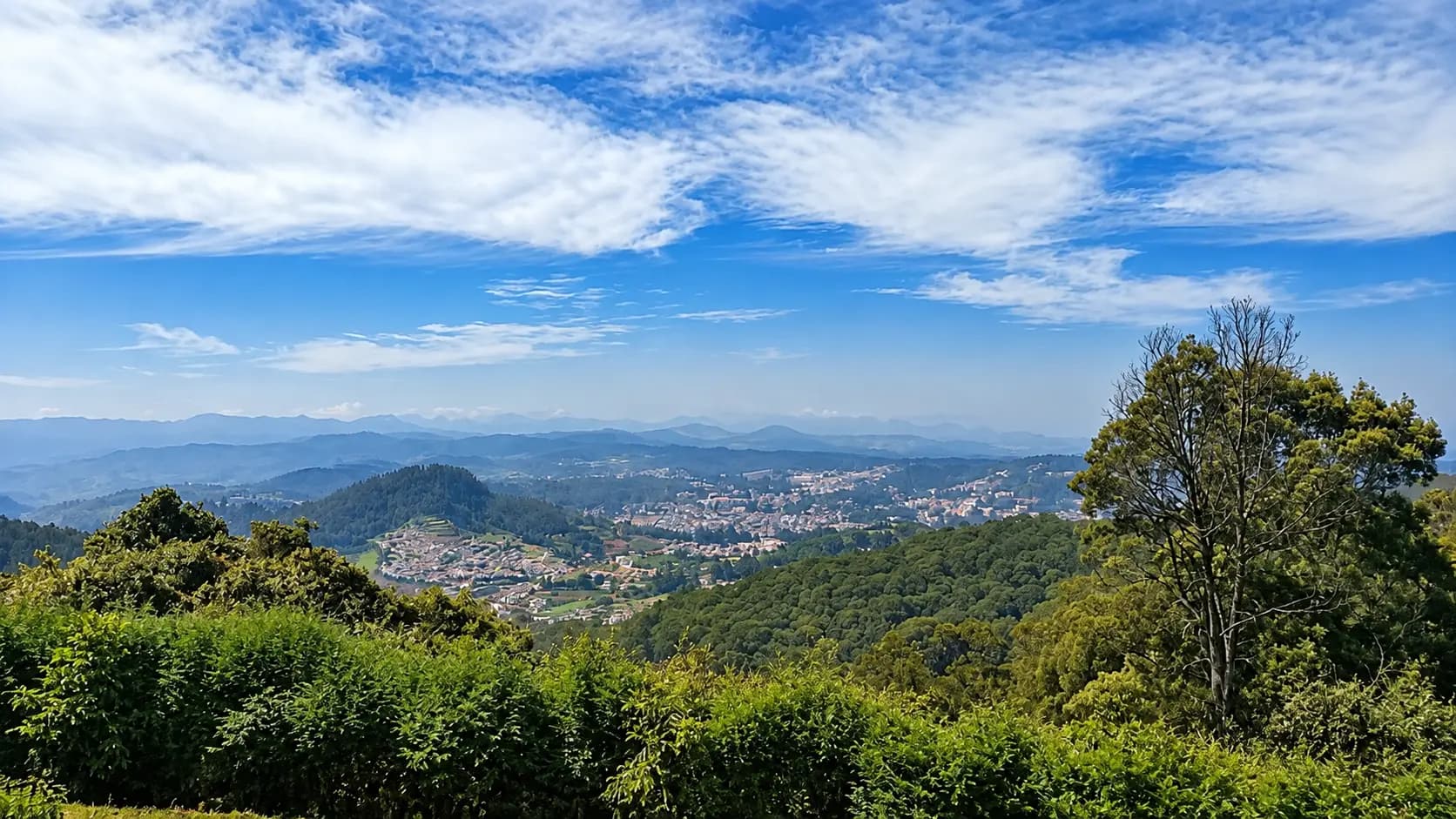 Ooty & Coonoor